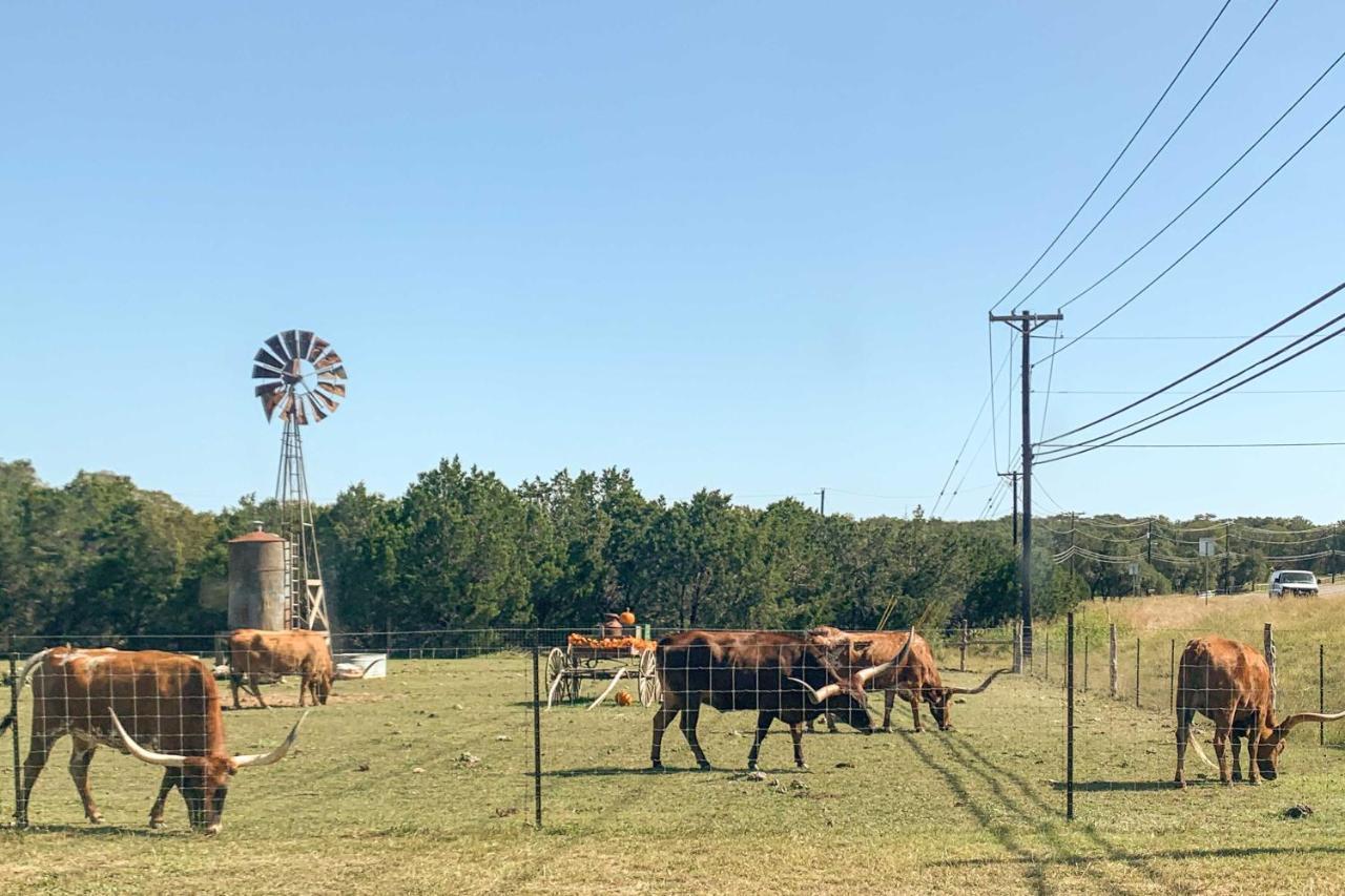 Family Friendly Hill Country Home 13 Mi To Lake! New Braunfels Esterno foto